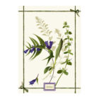 Toalla / Paño de lino italiano Gentiana