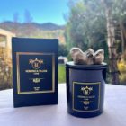 25% Off Cassis  (Blackcurrant) Vela - Imagen 2